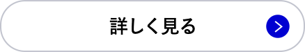 詳しく見る